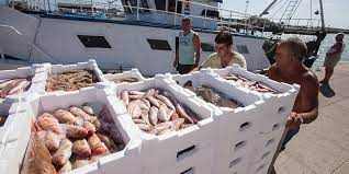 MoFPI1626255222fishries.jpg